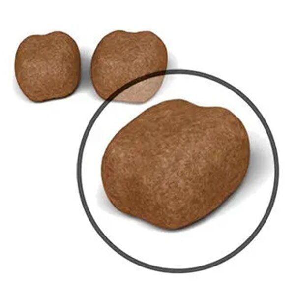 Royal Canin Oral Care Diş Sağlığına Özel Yetişkin Kedi Maması 1,5Kg