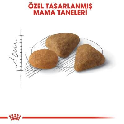 Royal Canin Exigent 35/30 Seçici Kedilere Özel Mama 4 kg