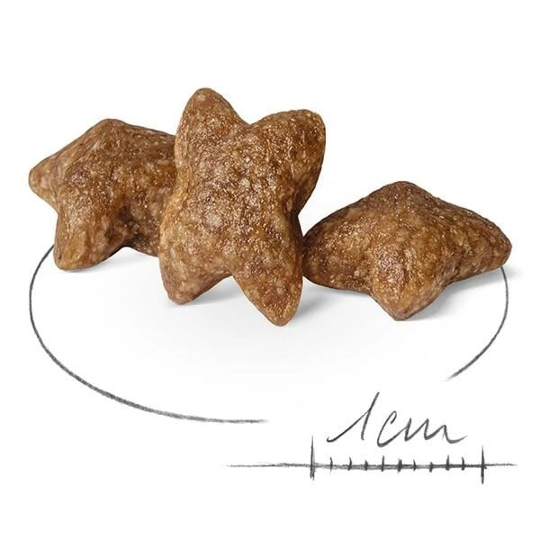 Royal Canin Mini Adult Yetişkin Köpek Maması 8 Kg