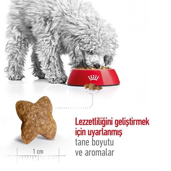 Royal Canin Mini Adult Yetişkin Köpek Maması 8 Kg