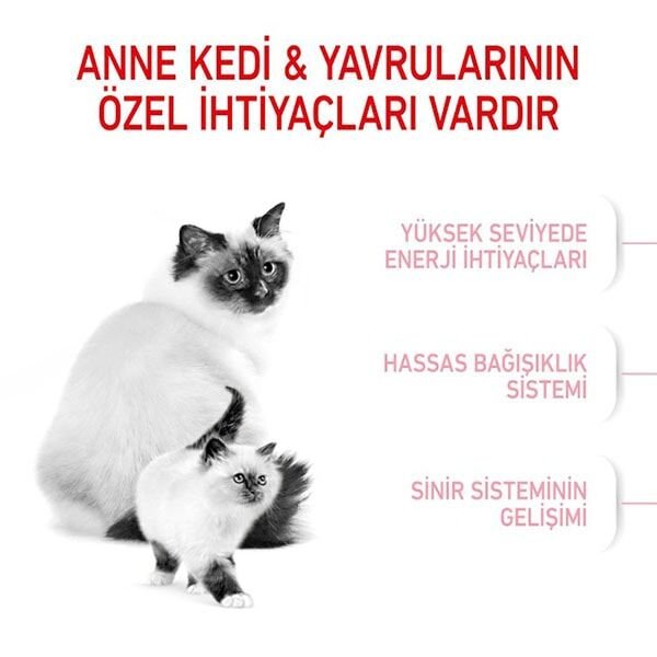 Royal Canin Mother Babycat Yavru Kedi Maması 4 Kg