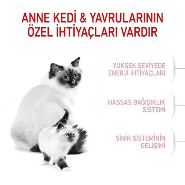 Royal Canin Mother Babycat Yavru Kedi Maması 2 Kg