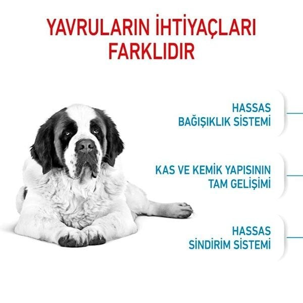 Royal Canin Junior Giant Büyük Irk Yavru Köpek Maması 15Kg