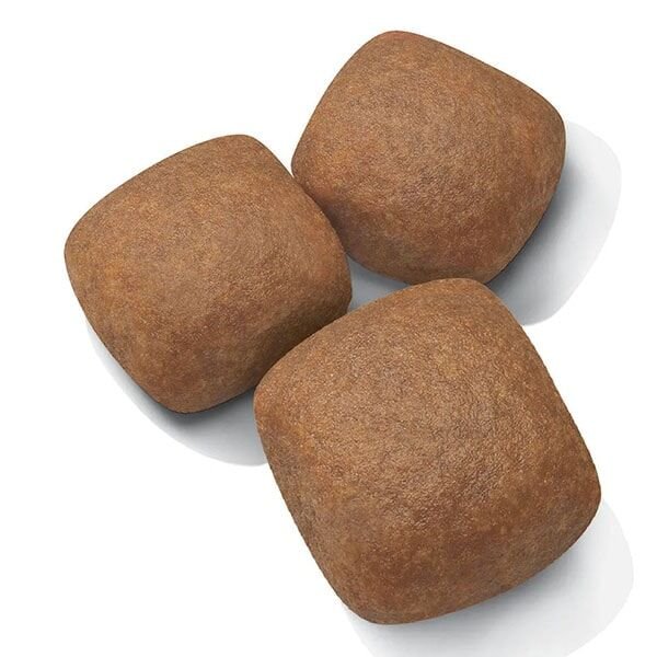 Royal Canin Junior Giant Büyük Irk Yavru Köpek Maması 15Kg