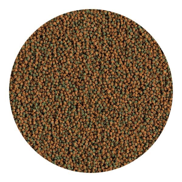 Tetra Cichlid Algae Mini Pellets 250 gr - Kovadan Bölme
