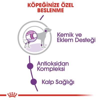 Royal Canin Giant Adult Dev Irk Yetişkin Köpek Maması 15 kg