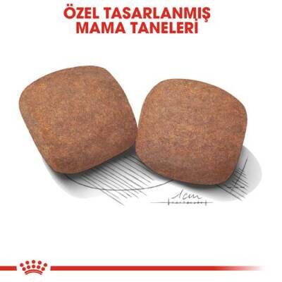 Royal Canin Giant Adult Dev Irk Yetişkin Köpek Maması 15 kg