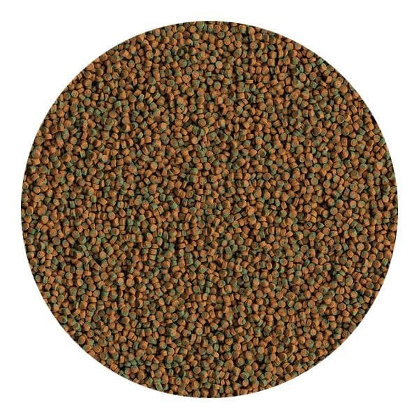 Tetra Cichlid Algae Mini Pellets 100 gr - Kovadan Bölme