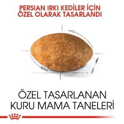 Royal Canin Persian 30 İran Kedilerine Özel Yetişkin Kedi Maması 10 kg
