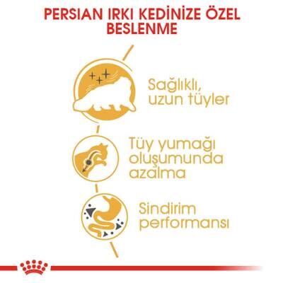 Royal Canin Persian 30 İran Kedilerine Özel Yetişkin Kedi Maması 10 kg