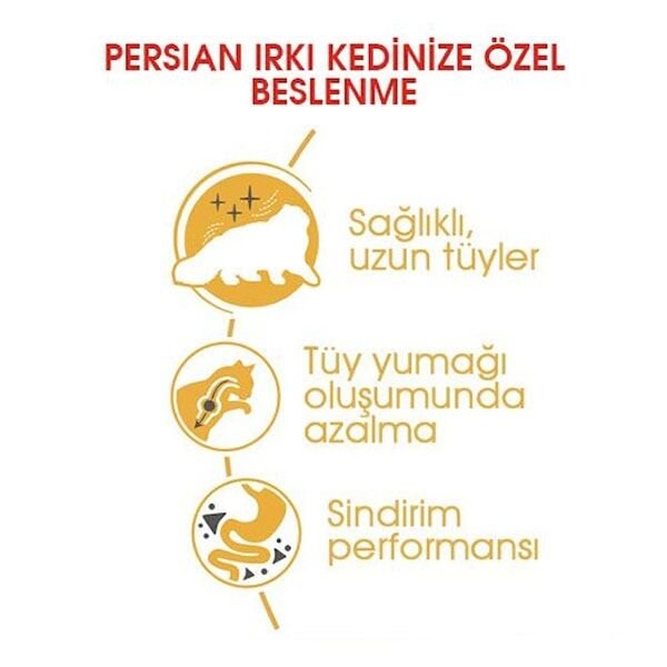 Royal Canin Persian Adult Yetişkin Kedi Maması 2 Kg