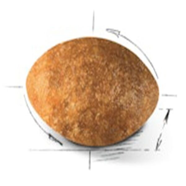 Royal Canin Persian Adult Yetişkin Kedi Maması 2 Kg