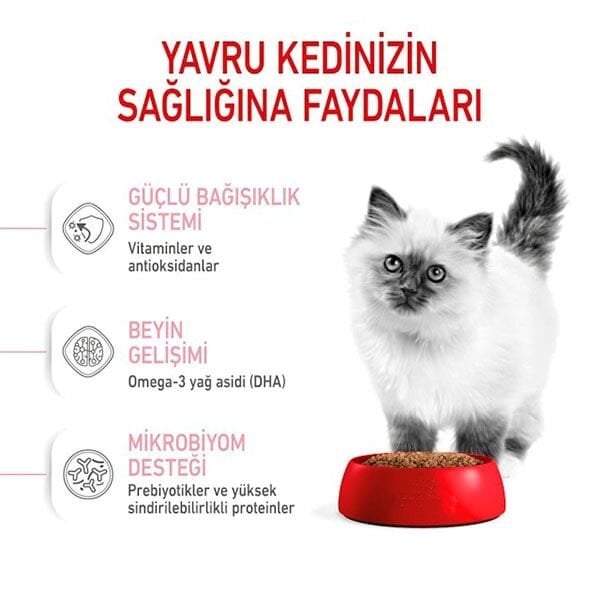 Royal Canin Kitten 36 Yavru Kedi Maması 2 Kg