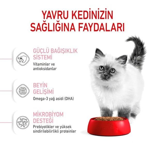 Royal Canin Kitten 36 Yavru Kedi Maması 2 Kg