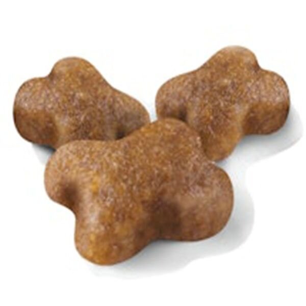 Royal Canin Kitten 36 Yavru Kedi Maması 2 Kg