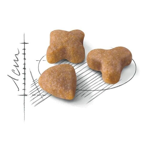 Royal Canin Sensible 33 Yetişkin Tavuklu Kedi Maması 4 Kg