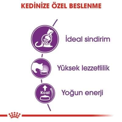 Royal Canin Sensible 33 Hassas Sindirimli Kediler İçin Kedi Maması 400 gr