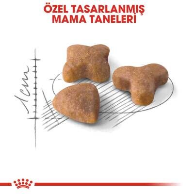 Royal Canin Sensible 33 Hassas Sindirimli Kediler İçin Kedi Maması 400 gr