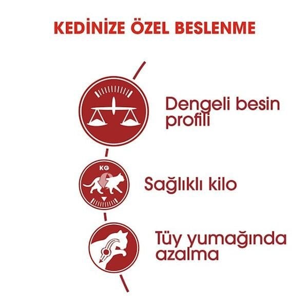 Royal Canin Adult Fit 32 Kedi Maması 4 Kg