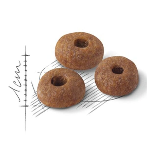 Royal Canin Adult Fit 32 Kedi Maması 4 Kg