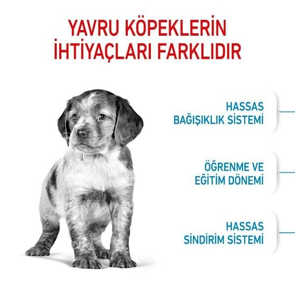 Royal Canin Medium Puppy Orta Irk Yavru Köpek Maması 15Kg