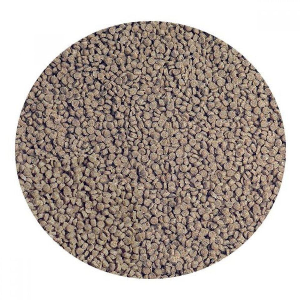 Sera GranuRed 500gr - Kovadan Bölme