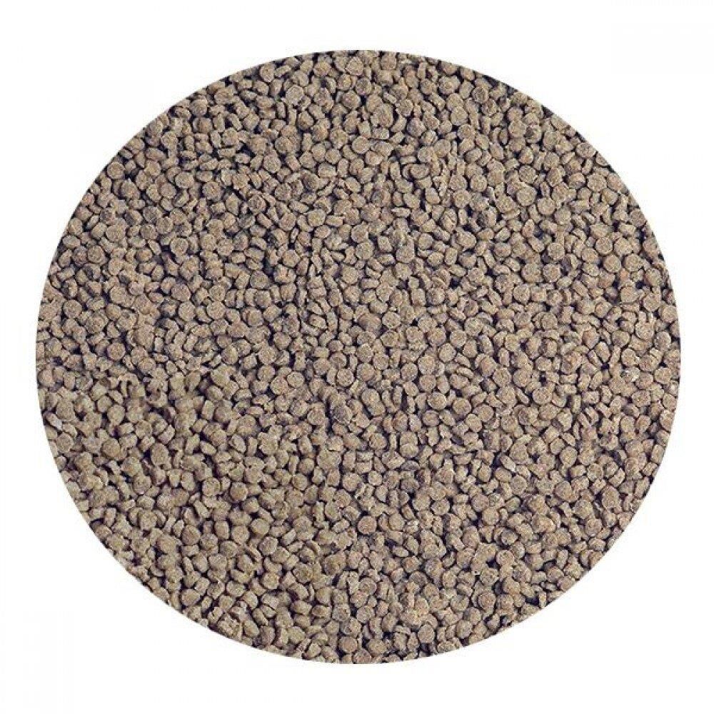 Sera GranuRed 250gr - Kovadan Bölme