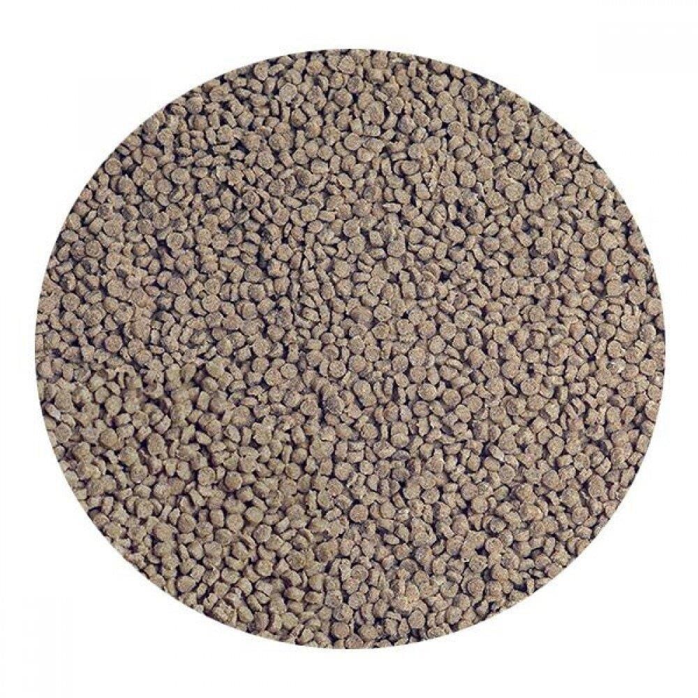 Sera GranuRed 100 Gr -Kovadan Bölme