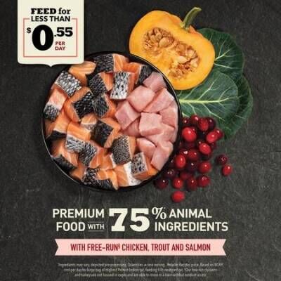 Acana Indoor Yüksek Proteinli (High Protein) Evde Beslenen Kediler İçin Yetişkin Kedi Maması 4,5 kg