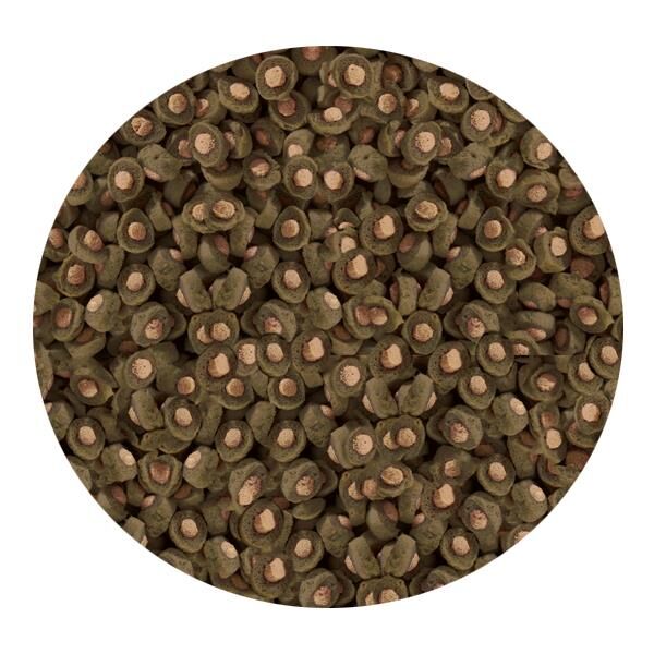 Sera Koi Professional Spirulina Renk Yemi 1Kg