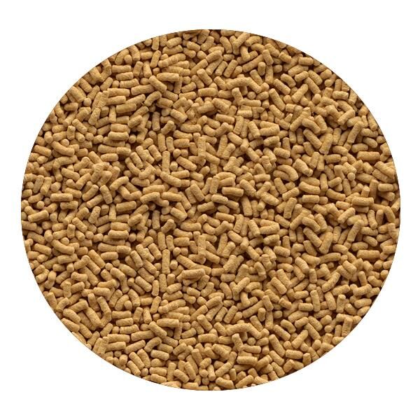 Tetra Pond Sticks 1000ml