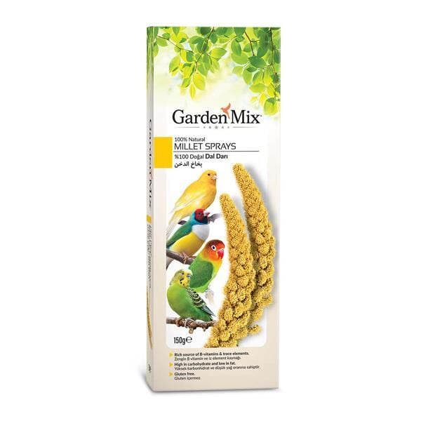 Gardenmix Platin Sarı Dal Darı