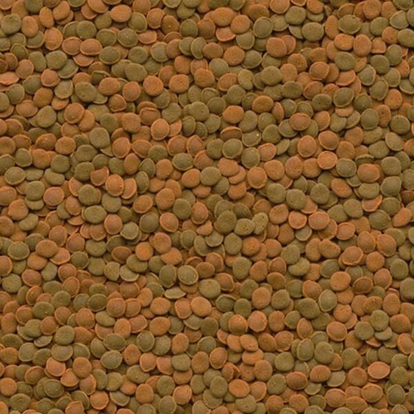 Tetra Wafer Mix 100ml 48gr