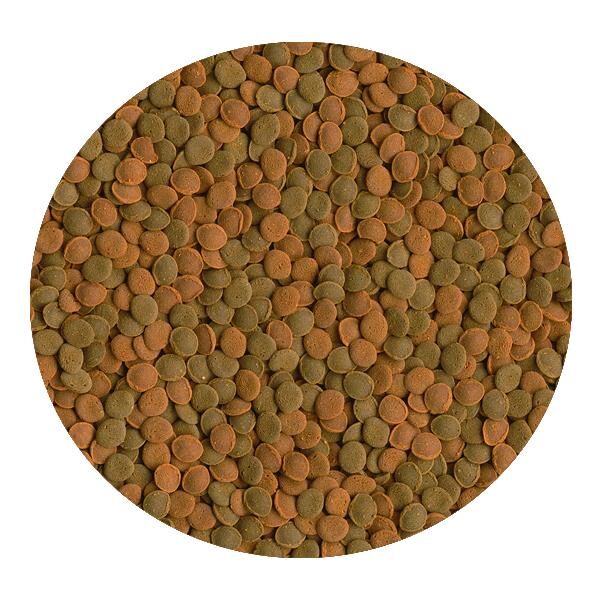 Tetra WaferMix 15gr