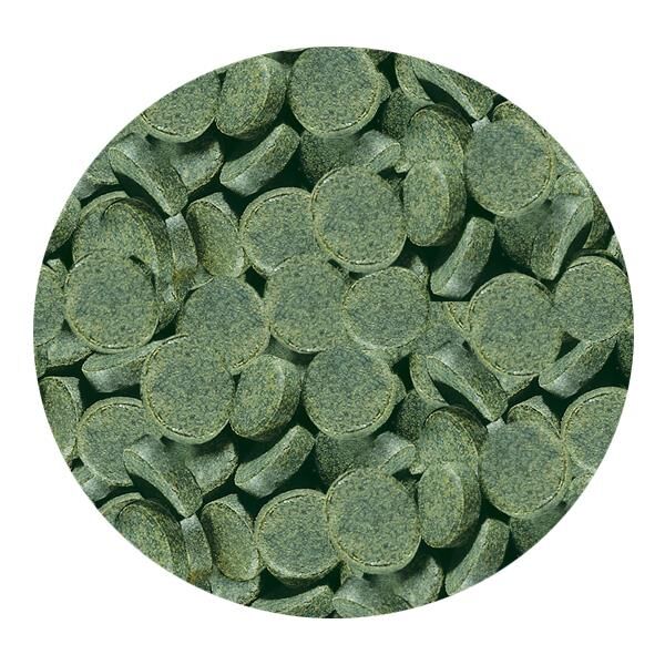 Sera Spirulina Tabs 24pcs