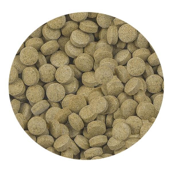 Sera Viformo Nature 50 Ml 33 Gr Tablet Balık Yemi