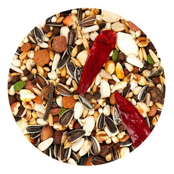 Versele Laga Prestige Loro Parque Afrika Papağan Yemi 2,5 Kg