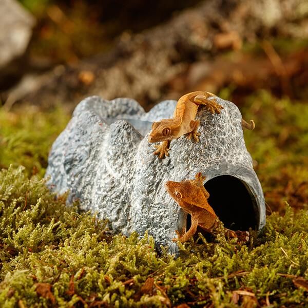 Exo Terra Ex Wet Rock Seramik Mağara Small